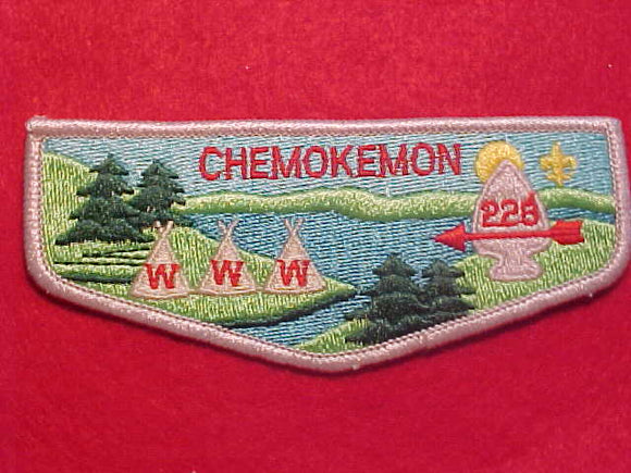 226 S10 CHEMOKEMON