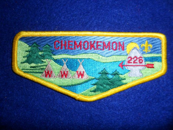 226 S14 Chemokemon