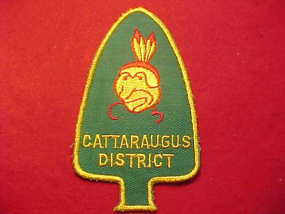 CATTARAUGUS DISTRICT