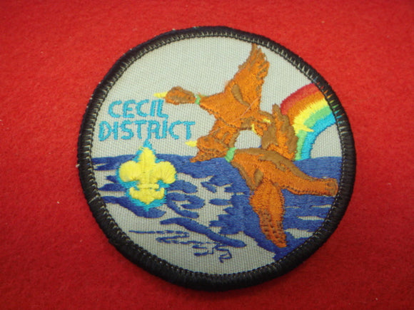 Cecil District