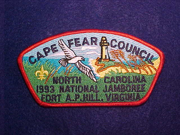 1993 CAPE FEAR COUNCIL