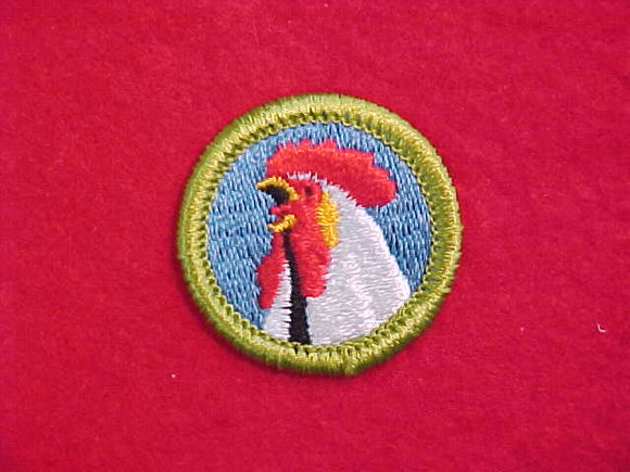 POULTRY KEEPING, MERIT BADGE WITH CLEAR PLASTIC BACK, GREEN BORDER, NO IMPRINTS/LOGOS IN PLASTIC