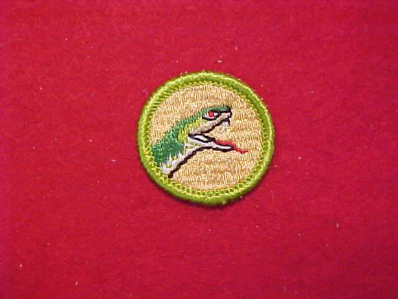 REPTILE STUDY, MERIT BADGE WITH CLOTH BACK, GREEN BORDER, 1969-72