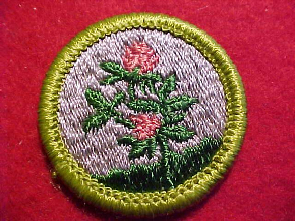 FORAGE CROPS, MERIT BADGE WITH CLEAR PLASTIC BACK, GREEN BORDER, NO IMPRINTS/LOGOS IN PLASTIC, 1972-75