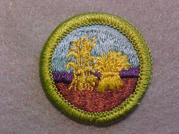 SMALL GRAINS, MERIT BADGE WITH CLEAR PLASTIC BACK, GREEN BORDER, NO IMPRINTS/LOGOS IN PLASTIC
