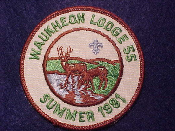 55 ER1981-1 WAUKHEON, SUMMER 1981