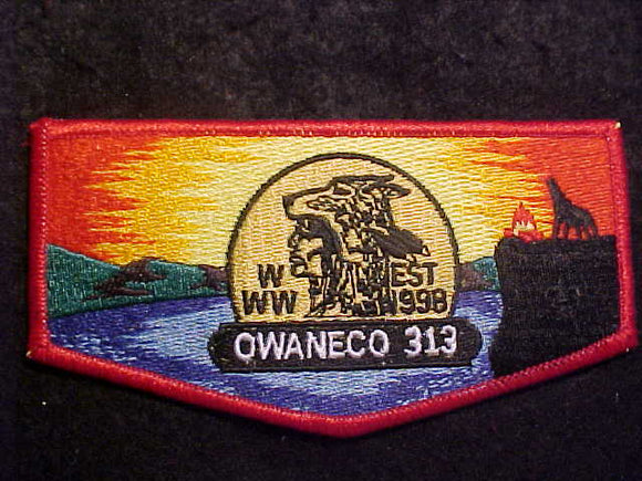 313 S1 OWANECO, EST 1998