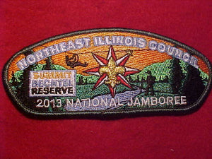 2013 NJ PATCH, NORTHEAST ILLINOIS COUNCIL, GREEN BDR.