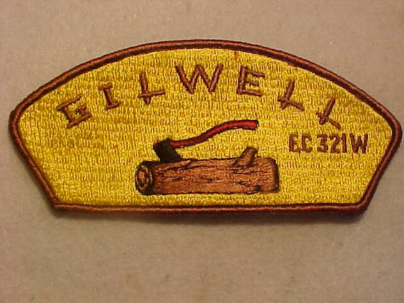 118 CHICAGO AREA COUNCIL SA-10 , EC-321 W WOODBADGE