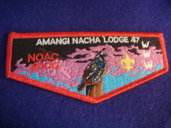47 S12 Amangi Nacha