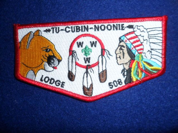 508 S21 Tu-Cubin-Noonie