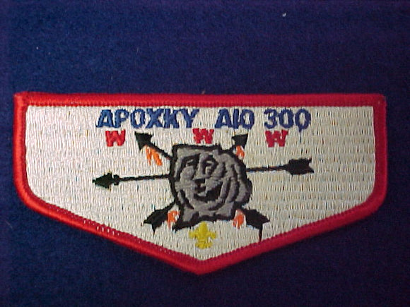 300 S5 Apoxky Aio