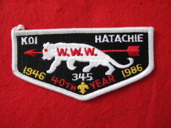 345 QS2 Koi Hatachie