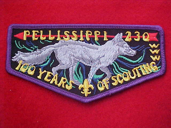 230 F1 PELLISSIPPI, 100 YEARS OF SCOUTING, PURPLE BORDER