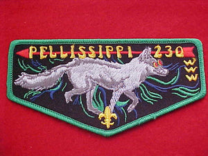 230 F? PELLISSIPPI, GREEN BORDER