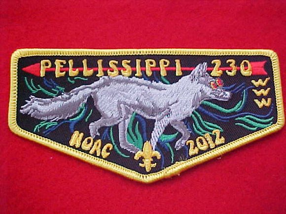 230 F? PELLISSIPPI, NOAC 2012, YELLOW BORDER