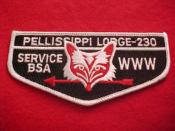 230 S37 PELLISSIPPI, SERVICE