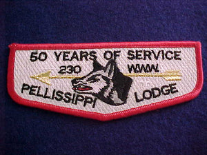 230 S39 PELLISSIPPI, 50 YEARS OF SERVICE, FDL