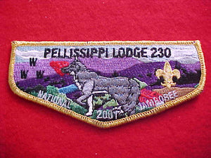 230 S75 PELLISSIPPI, 2001 NJ