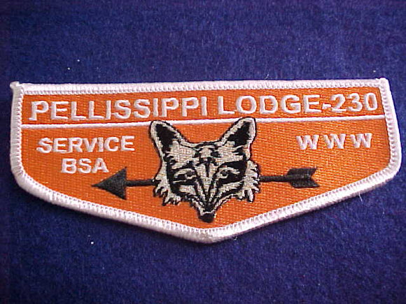 230 S91 PELLISSIPPI, SERVICE
