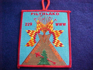 229 eX1994-1 PILTHLAKO, SPRING FELLOWSHIP