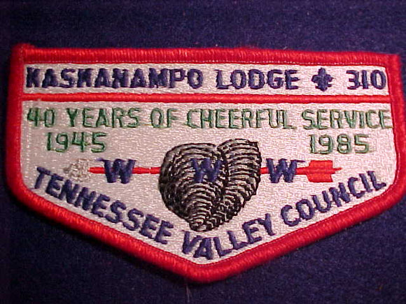 310 S9a KASKANAMPO, 40 YEARS, 1945-1985, TENNESSEE VALLEY C., CLOTH BACK