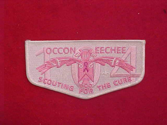 104 S79 OCCONEECHEE, SCOUTING FOR THE CURE