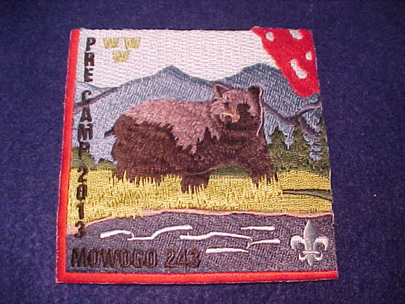 243 eX2013-? MOWOGO PATCH, 2013 PRECAMP