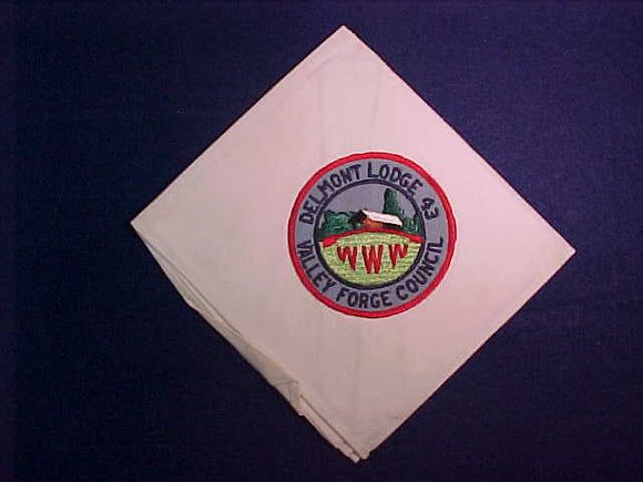 43 R5 DELMONT, VALLEY FORGE COUNCIL, SEWN ON NECKERCHIEF