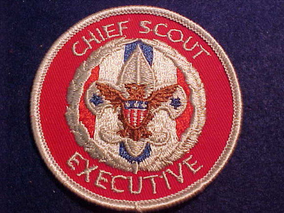 CHIEF SCOUT EXECUTIVE, CLEAR PLASTIC OVER GAUZE BACK