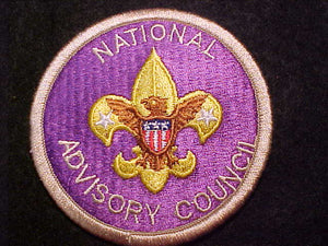 NATIONAL ADVISORY COUNCIL POSITION PATCH, VERY RARE, SHORT- LIVED POSITION