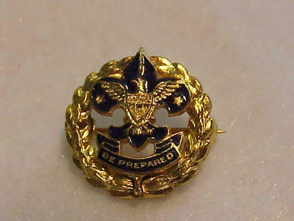 ASSISTANT DISTRAIC COMMISSIONER LAPEL PIN, CIVILIAN WEAR, 15MM, SPIN LOCK ON BACK