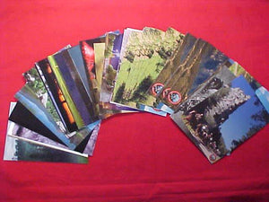 PHILMONT POSTCARDS (49), ALL MINT CONDITION