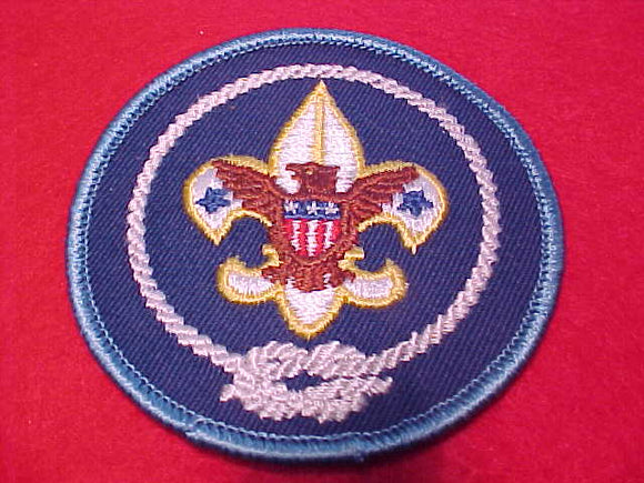 Boy Scouts of America International Travel Emblem