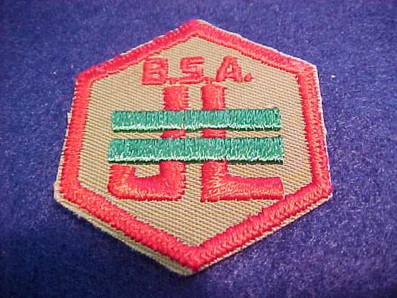 Junior Leader Trained, with B. S. A., hexagon