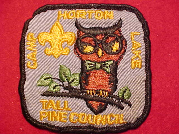 HORTON LAKE CAMP PATCH, TALL PINE C., 1964-68, USED