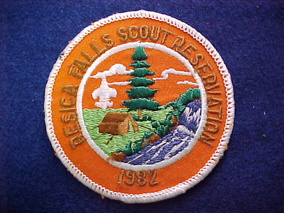 resica falls scout resv., 1982