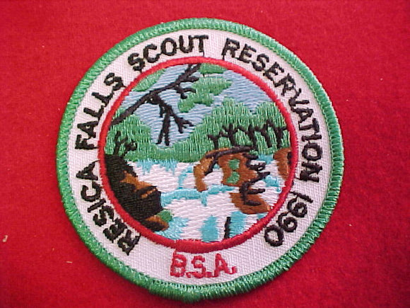 resica falls scout resv., 1990