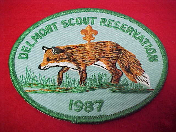 delmont scout reservation, 1987