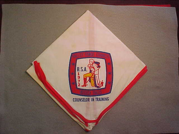 RESICA FALLS, VALLEY FORGE COUNCIL, COUNSELOR IN TRAINING NECKERCHIEF, 1972, GOOD CONDITION