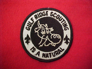 Gulf Ridge council "Scouting is a natural"