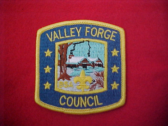 Valley Forge council Plastic back