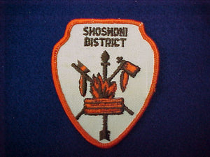 Shoshoni district