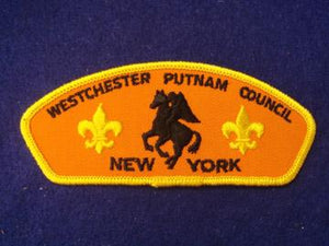 Westchester Putnam C t1