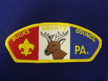 Bucks County C s24a