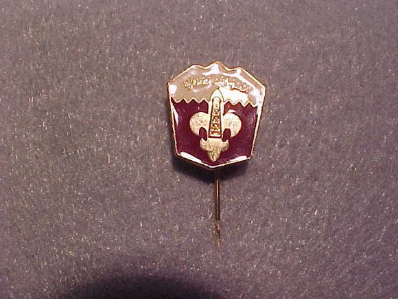Qatar stick pin, 18x20mm emblem, 30mm pin, rare