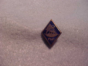 Fiji pin, 15x20mm