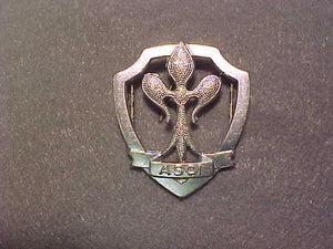 Italy hat pin, ASCI, 37x43mm