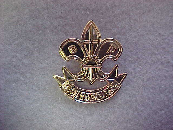 Latvia pin, Esi Modrs!, gold color, 31x35mm