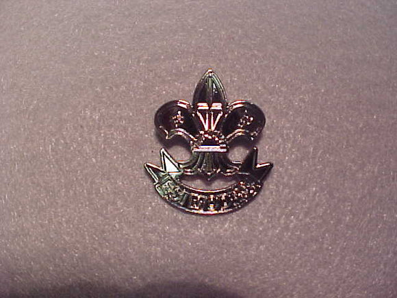 Latvia pin, Esi Modrs!, silver color, 31x35mm